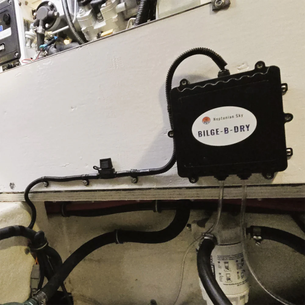 BILGE-B-DRY Dual Pump - 24VDC [BBD-2025-242] - Image 7